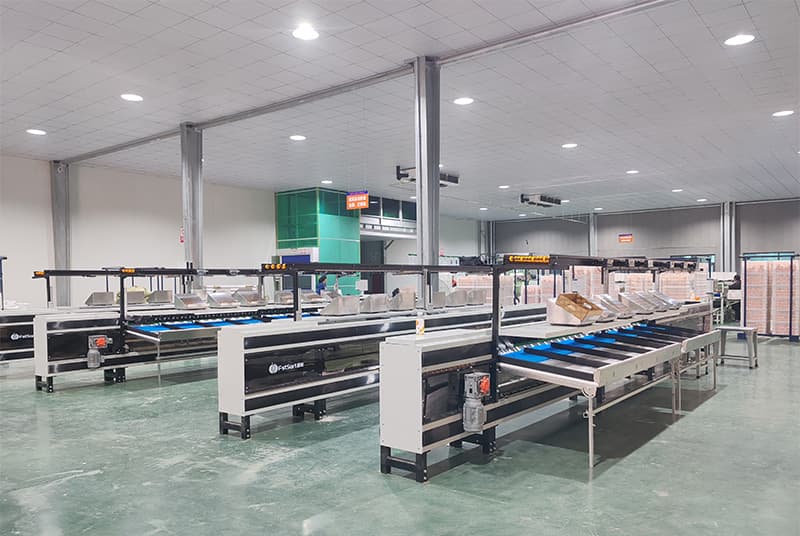 images/1734943133982pear grading machine.jpg